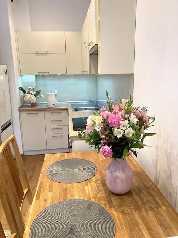 Apartment Novum Rakowicka Street クラクフ エクステリア 写真