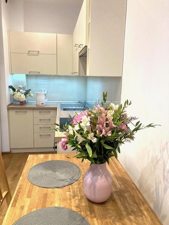 Apartment Novum Rakowicka Street クラクフ エクステリア 写真