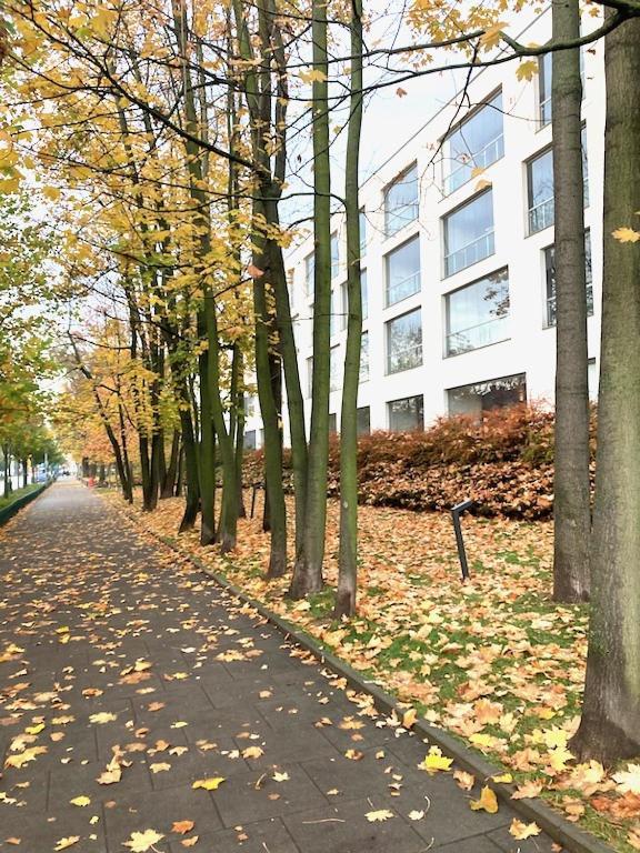 Apartment Novum Rakowicka Street クラクフ エクステリア 写真